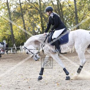 13A4921_Smid-Alexandra9_1025.jpg
