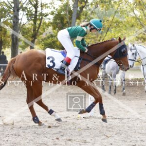 13A5003_Grosz-Fanni18_1050.jpg
