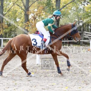 13A5008_Grosz-Fanni21_1053.jpg