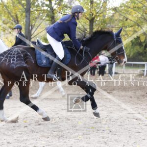 13A5054_Boszormenyi-Zoe40_1068.jpg